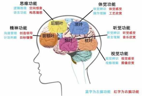 听觉语言和视觉语言（听觉语言和视觉语言一样吗）