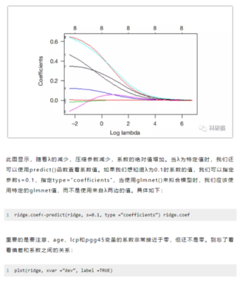 lars过程r语言（r语言lasso模型实证分析）