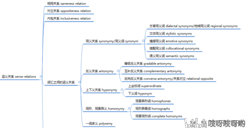 英语语言学句法（英语语言学句法学思维导图）