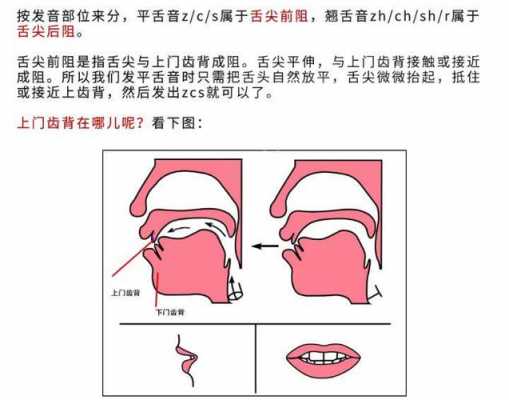 翘舌音语言（翘舌发音口型）