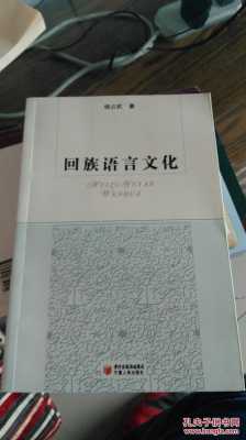 回族语言文化（回族的语言文字）