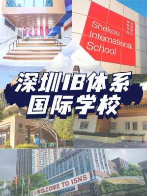 深圳ibs国际语言（深圳比较好的ib课程国际学校）