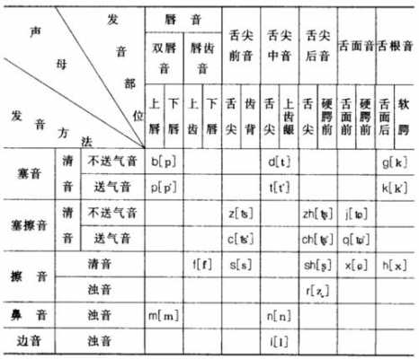 语言学纲要辅音（语言学纲要辅音分类）