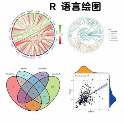 r语言轮廓系数（r语言轮廓图）